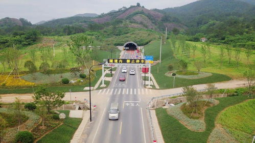 东萧公路绿化景观工程通过初步验收