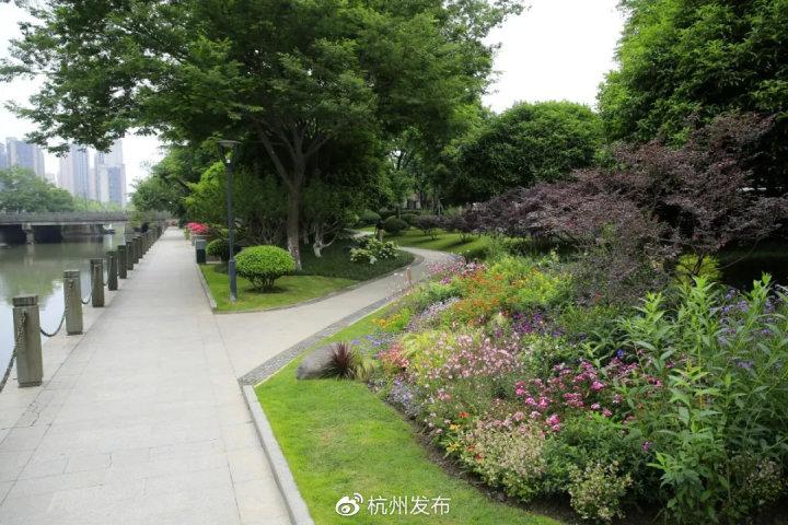 最新榜单杭州公园景区道路滨水绿地高架绿化最佳最差结果出炉